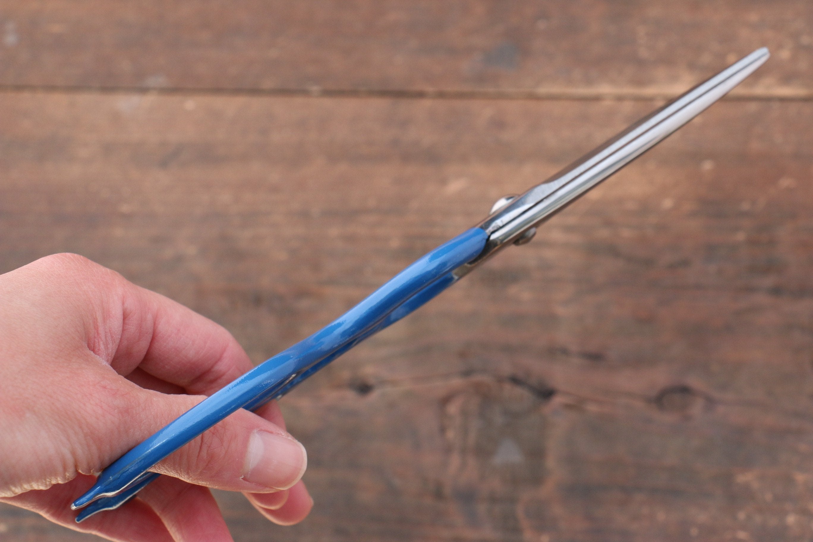 MT INOX Stainless Steel Scissors - Japanny - Best Japanese Knife